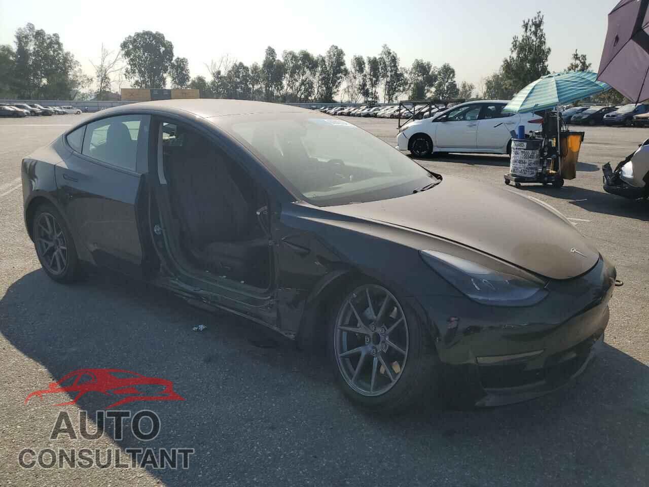 TESLA MODEL 3 2021 - 5YJ3E1EA2MF939261