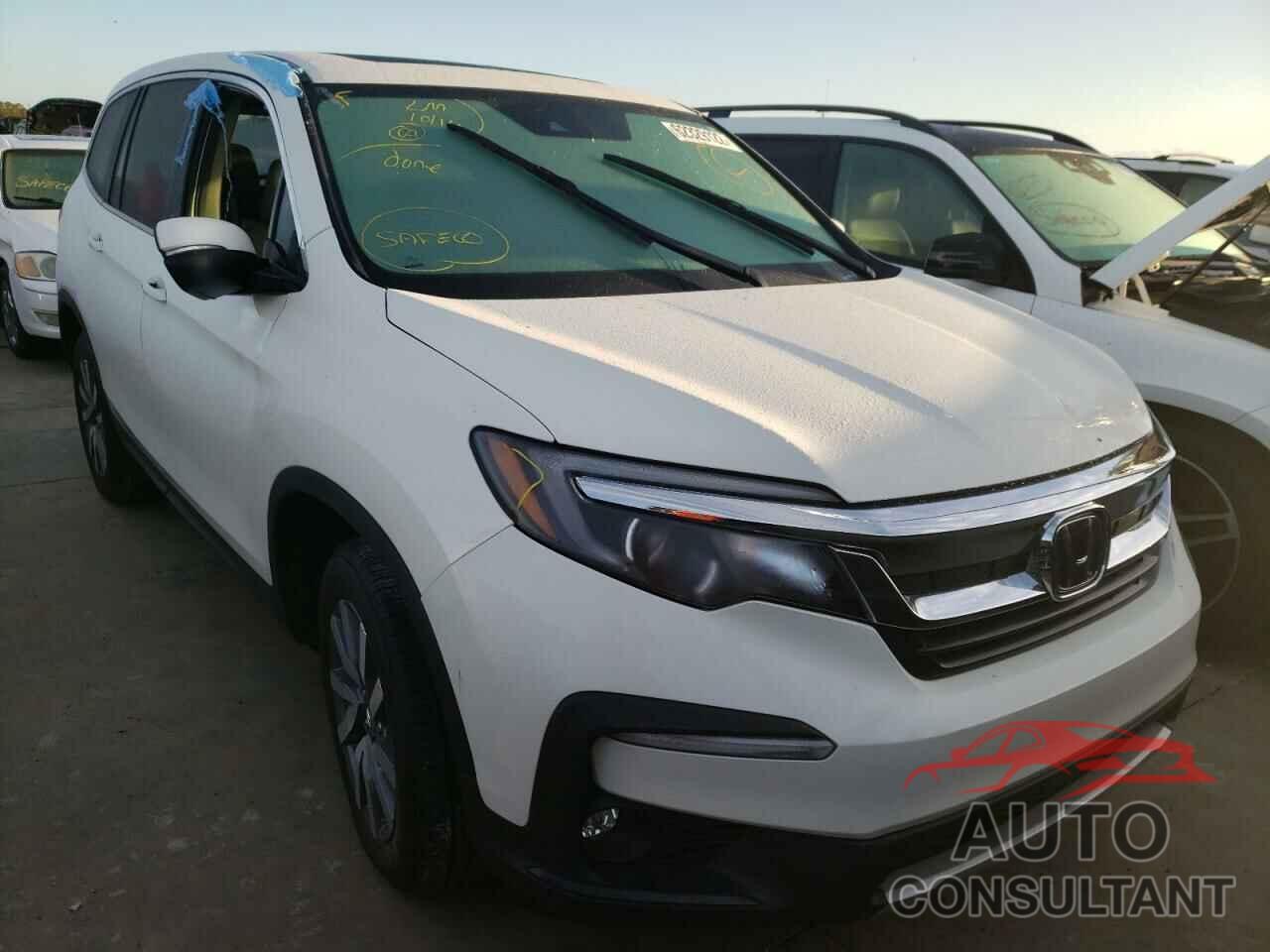 HONDA PILOT 2019 - 5FNYF6H50KB070736