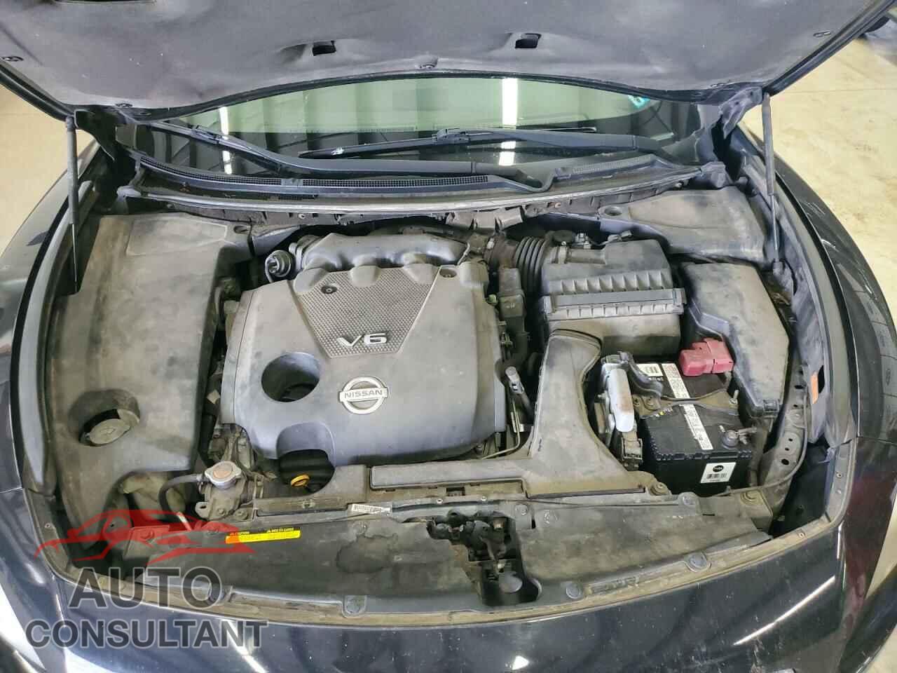 NISSAN MAXIMA 2009 - 1N4AA51E29C819022