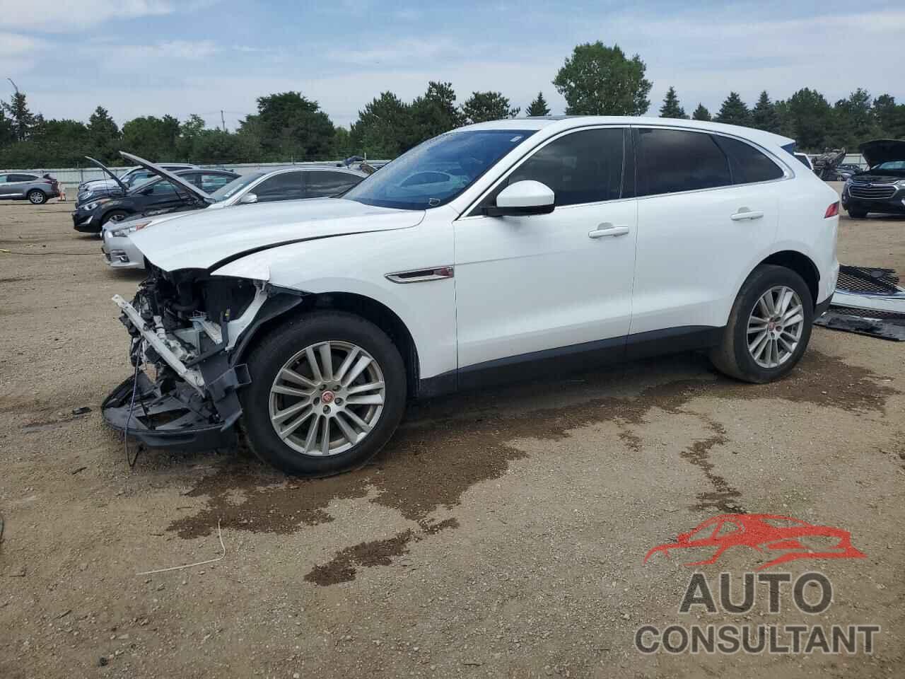 JAGUAR F-PACE 2020 - SADCK2GX2LA635178
