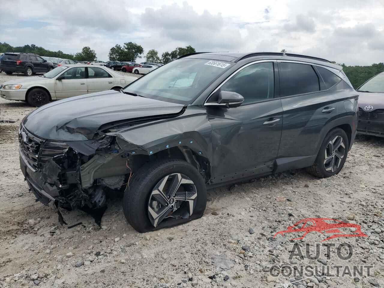 HYUNDAI TUCSON 2024 - KM8JECD11RU230478