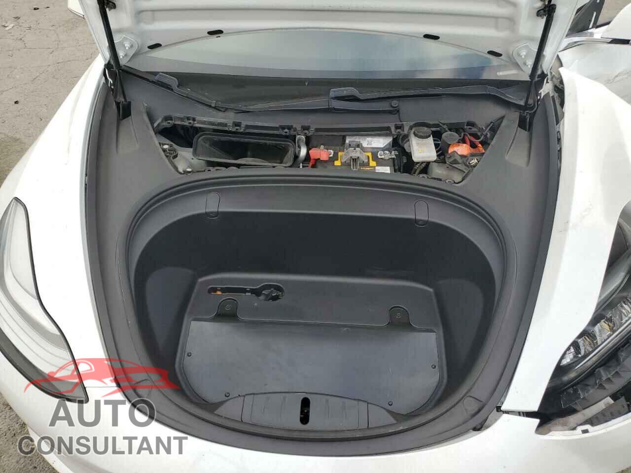 TESLA MODEL 3 2019 - 5YJ3E1EA4KF301462