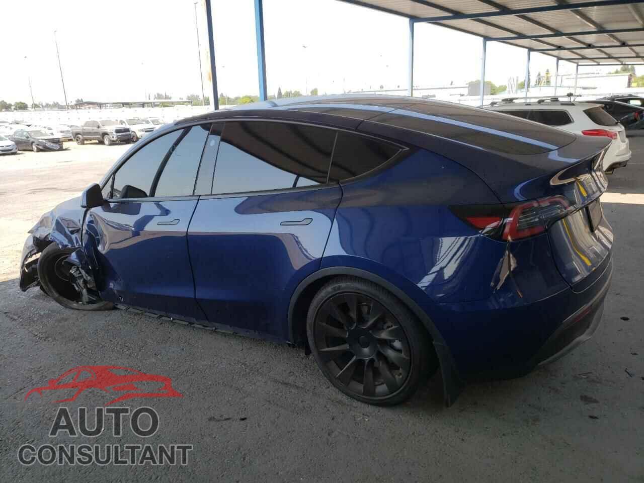 TESLA MODEL Y 2024 - 7SAYGDEE3RF981971