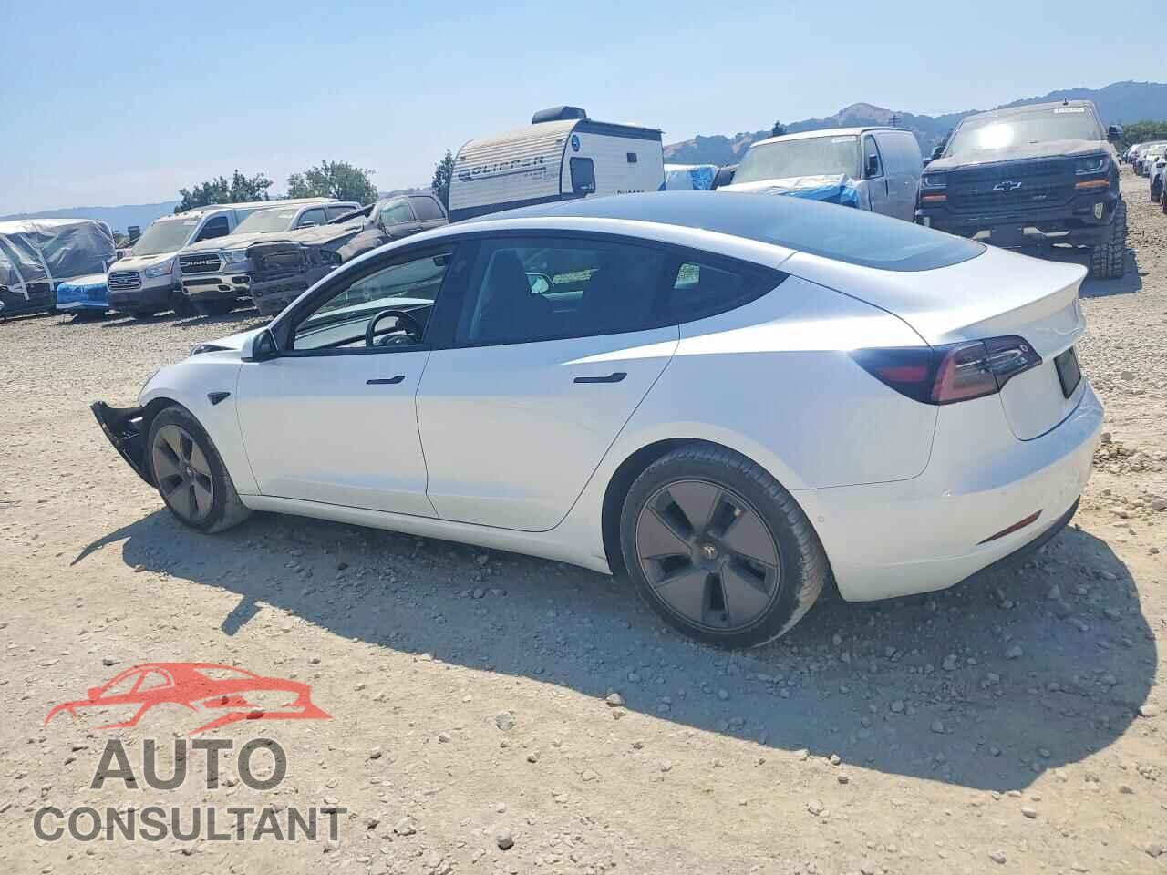 TESLA MODEL 3 2021 - 5YJ3E1EA9MF998050
