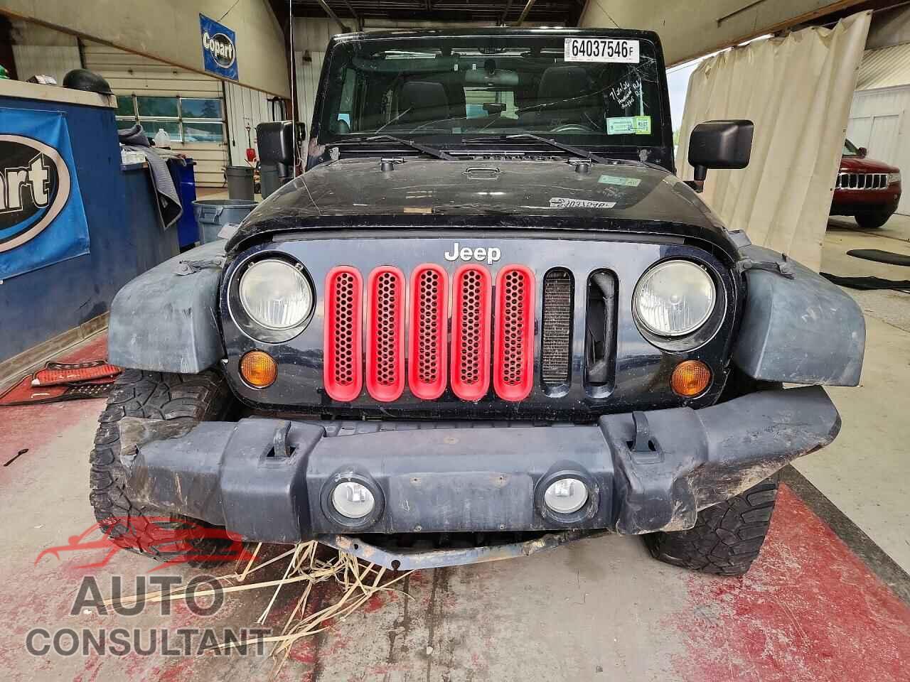 JEEP WRANGLER 2011 - 1J4AA2D1XBL588632