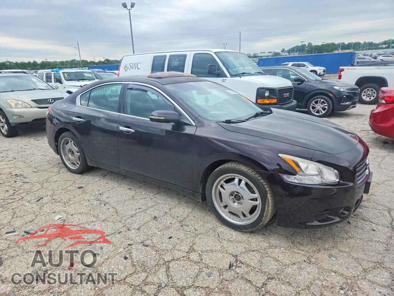 NISSAN MAXIMA 2010 - 1N4AA5AP1AC813251