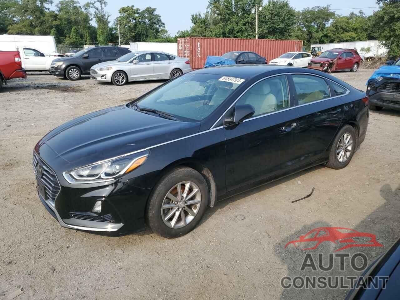 HYUNDAI SONATA 2019 - 5NPE24AF8KH806510