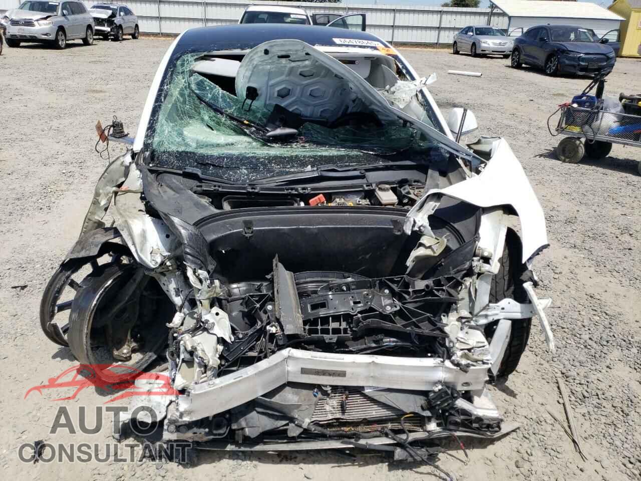 TESLA MODEL 3 2019 - 5YJ3E1EA1KF503952