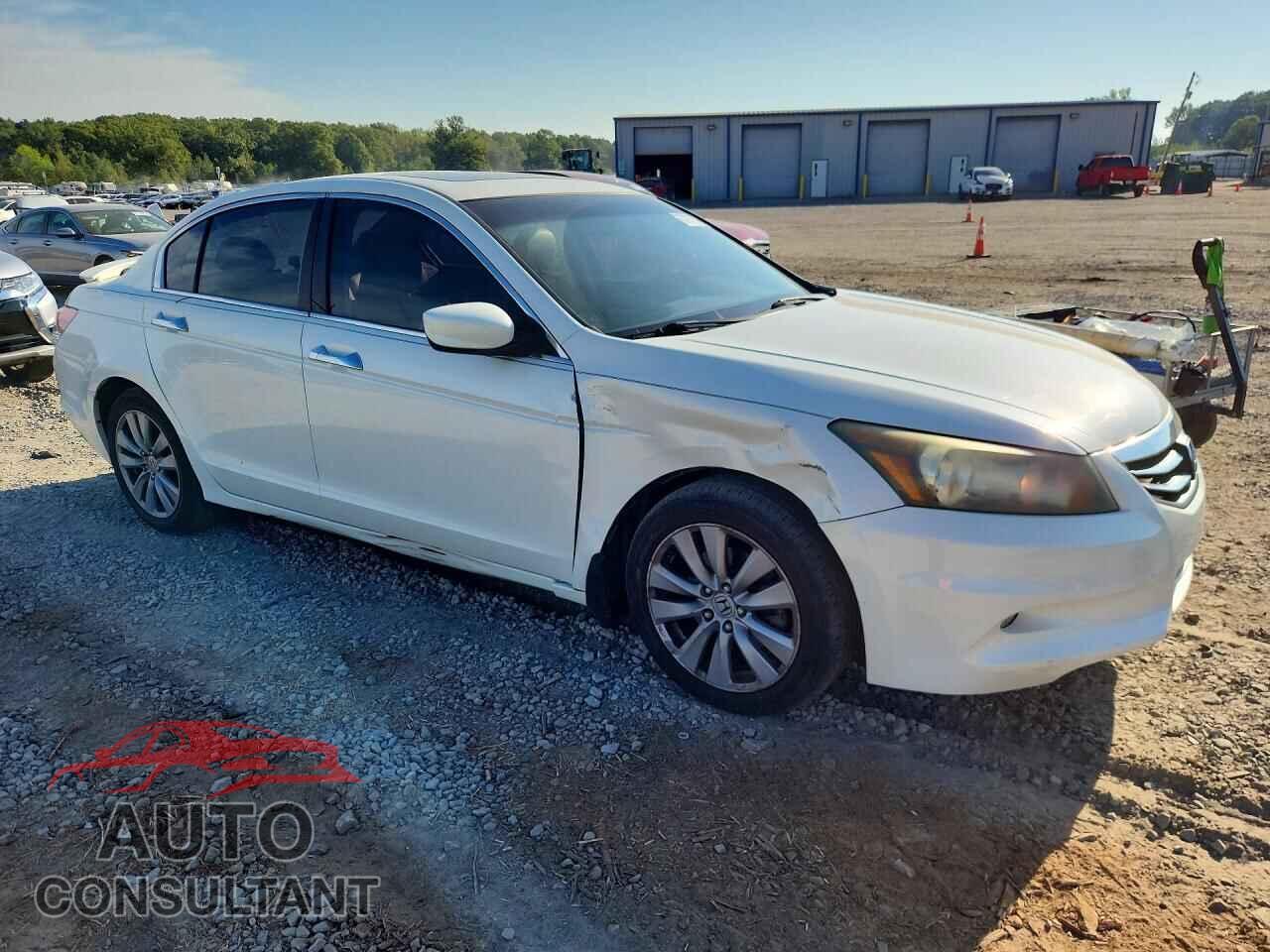 HONDA ACCORD 2011 - 5KBCP3F81BB002000