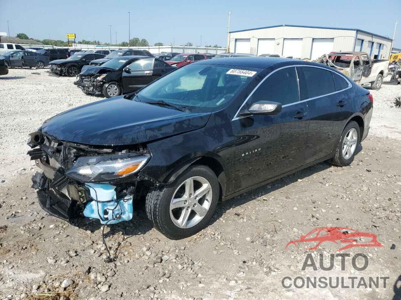 CHEVROLET MALIBU 2019 - 1G1ZB5ST6KF207085