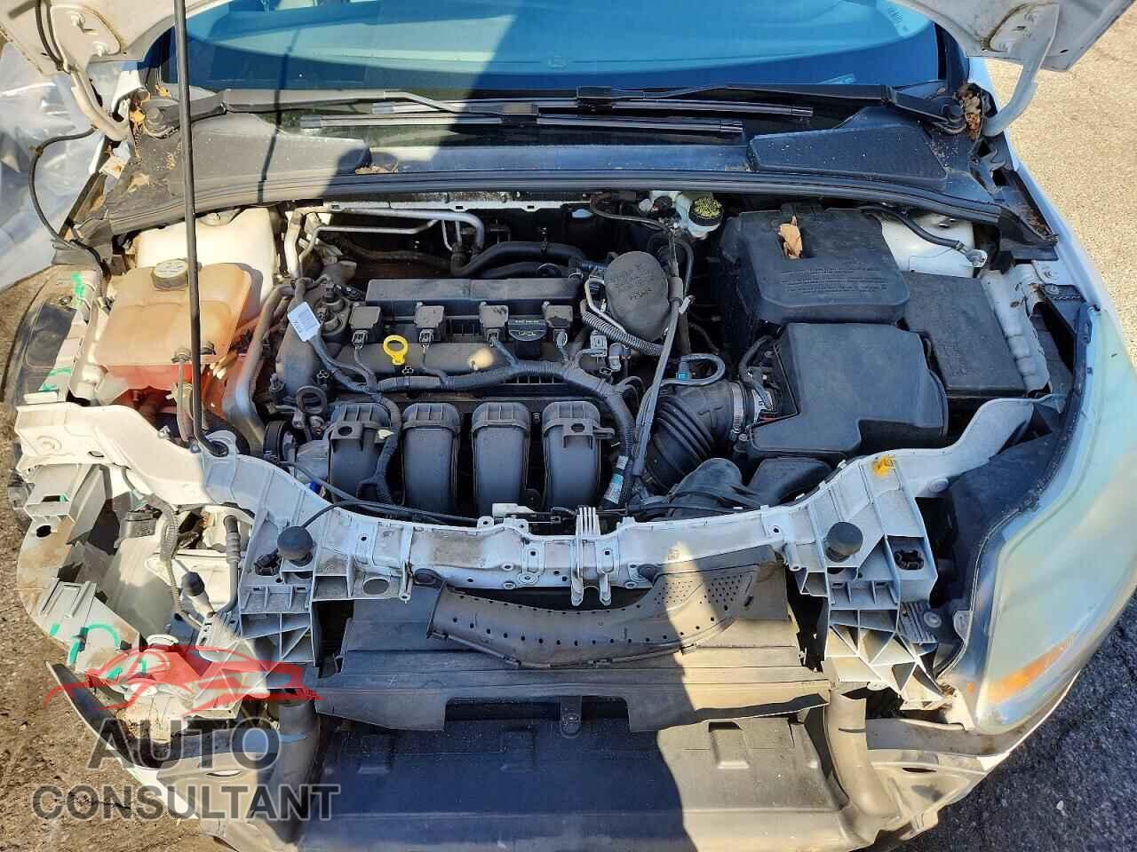 FORD FOCUS 2012 - 1FAHP3F21CL244046