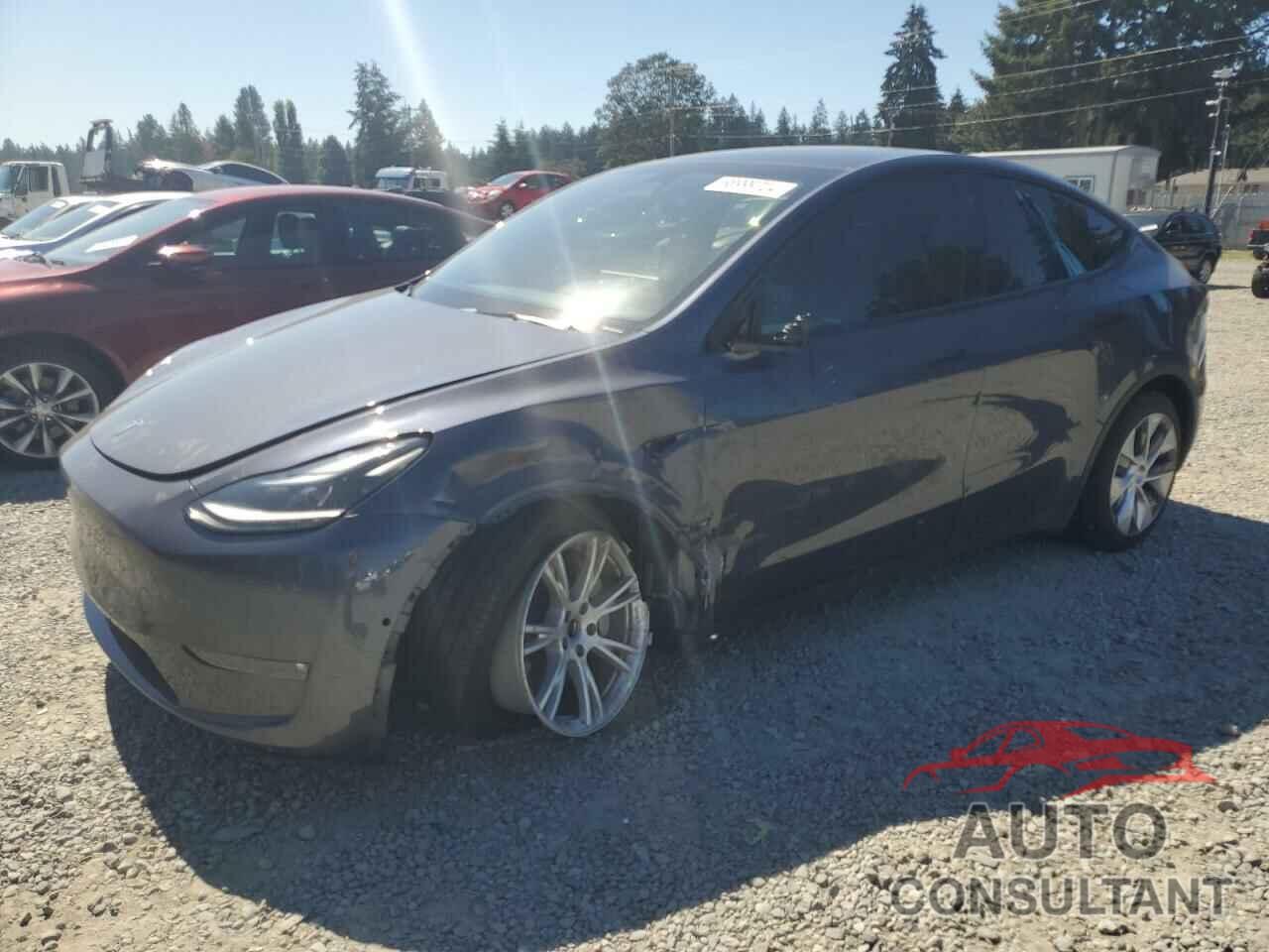 TESLA MODEL Y 2022 - 7SAYGDEE3NF533613