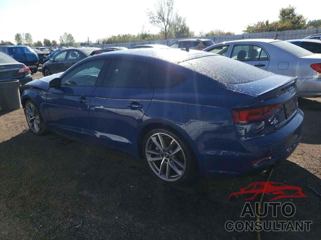 AUDI A5 2019 - WAUENCF59KA029972