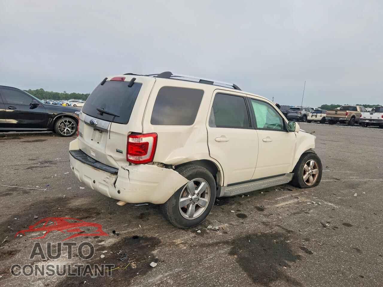 FORD ESCAPE 2011 - 1FMCU0EG2BKA53101