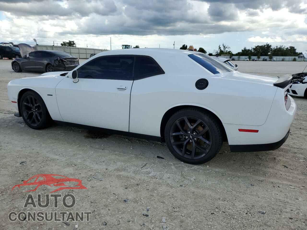 DODGE CHALLENGER 2019 - 2C3CDZBT5KH708793