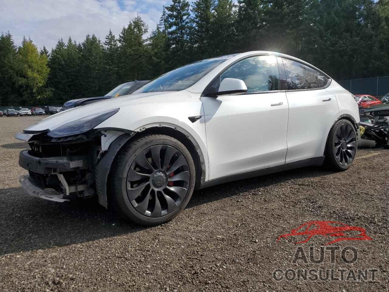 TESLA MODEL Y 2022 - 7SAYGDEF4NF460311