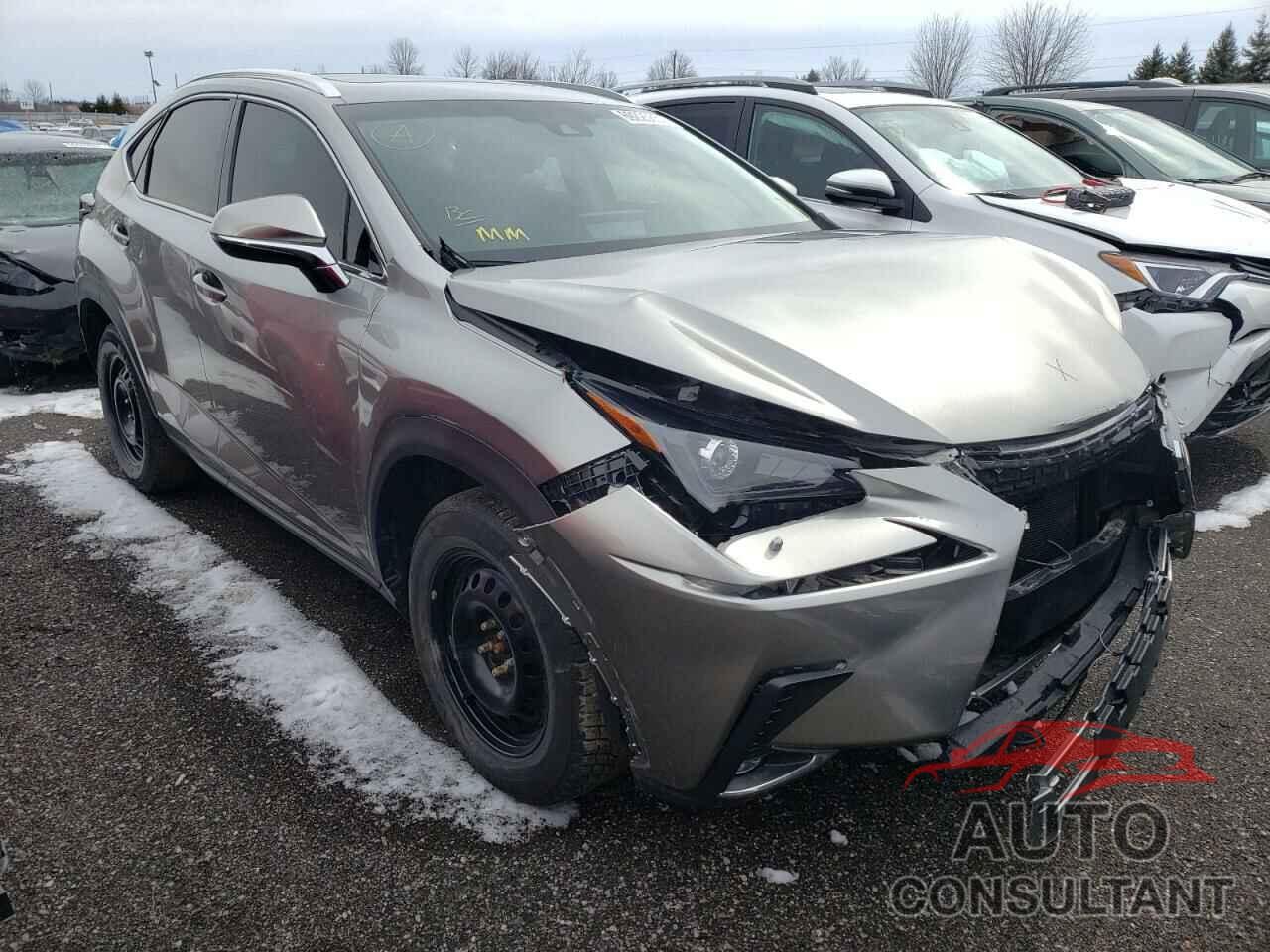 LEXUS NX 2019 - JTJBARBZ9K2207271