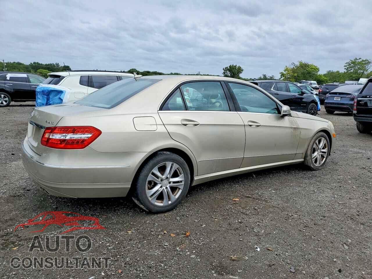 MERCEDES-BENZ E-CLASS 2010 - WDDHF8HBXAA155405