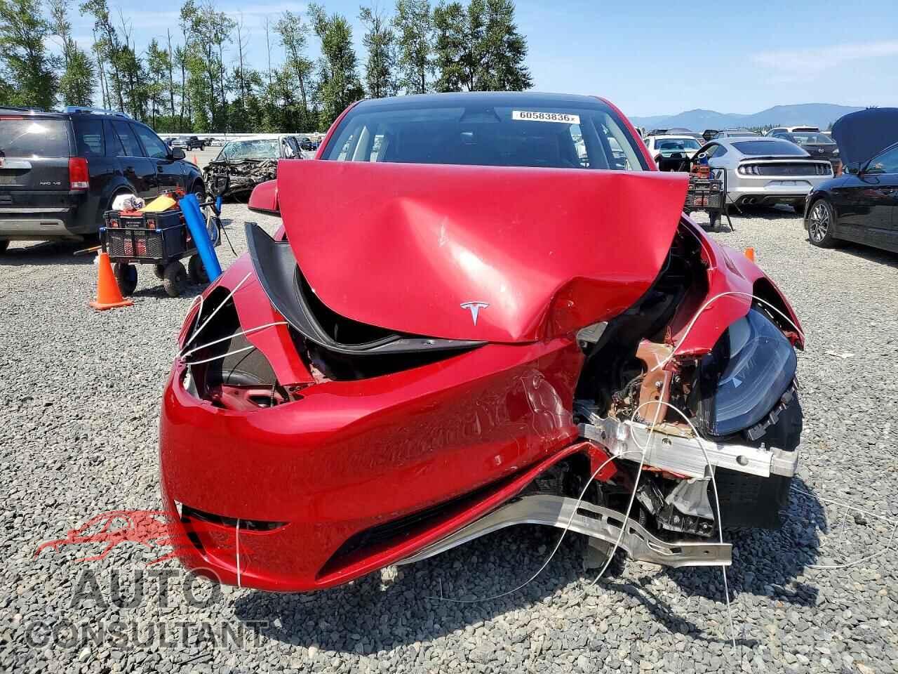 TESLA MODEL Y 2023 - 7SAYGDEE8PF674535