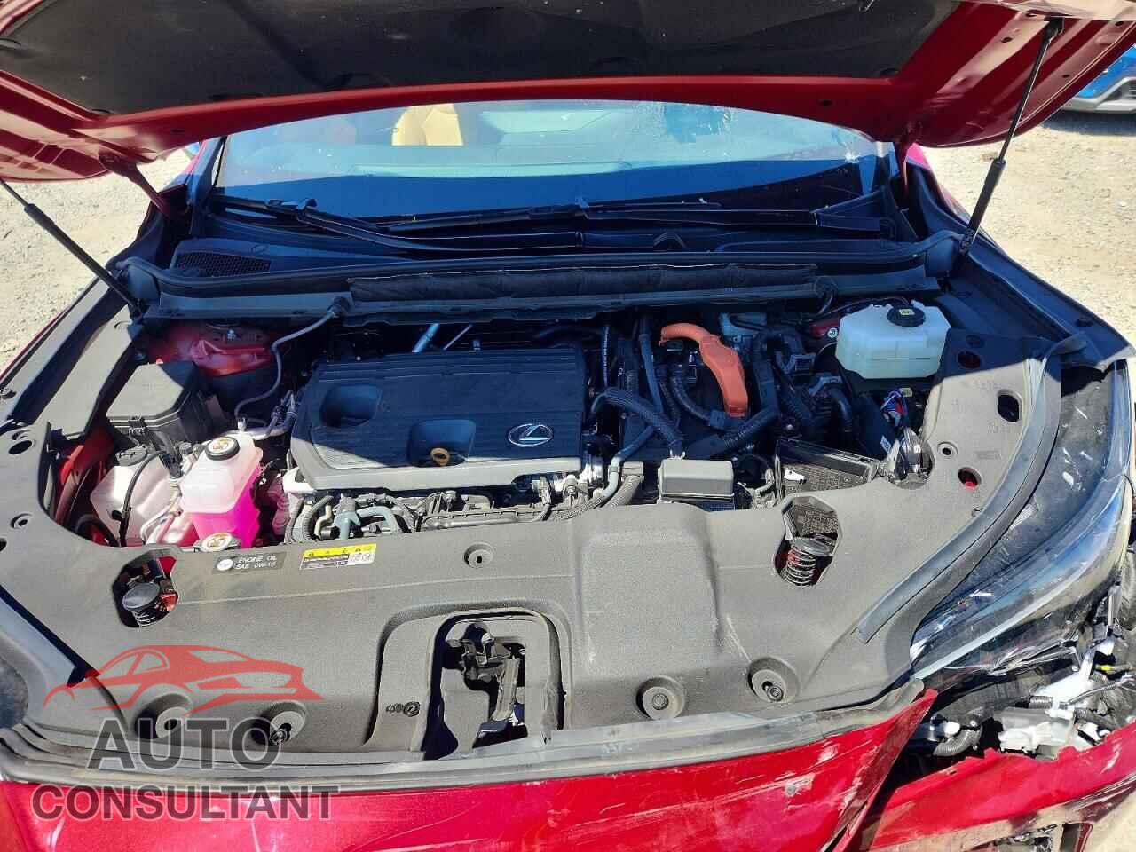 LEXUS RX350H 2025 - 2T2BBMCA5SC080253
