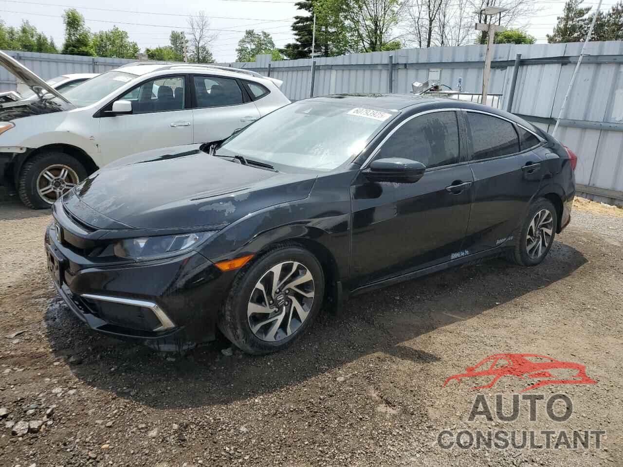 HONDA CIVIC 2019 - 2HGFC2F71KH008285