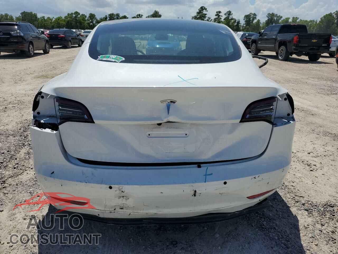 TESLA MODEL 3 2021 - 5YJ3E1EA7MF100206
