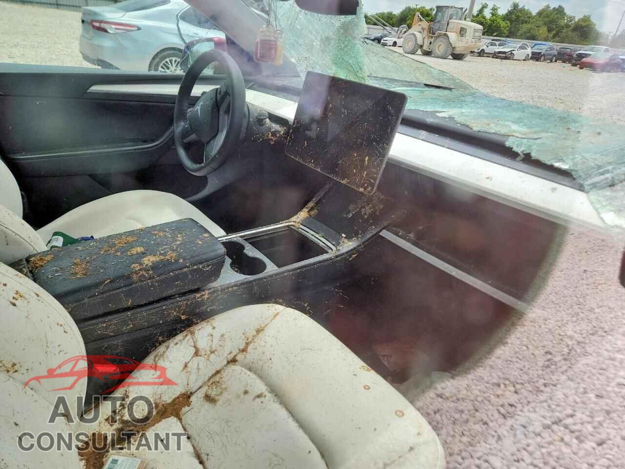 TESLA MODEL Y 2024 - 7SAYGDED3RF024862