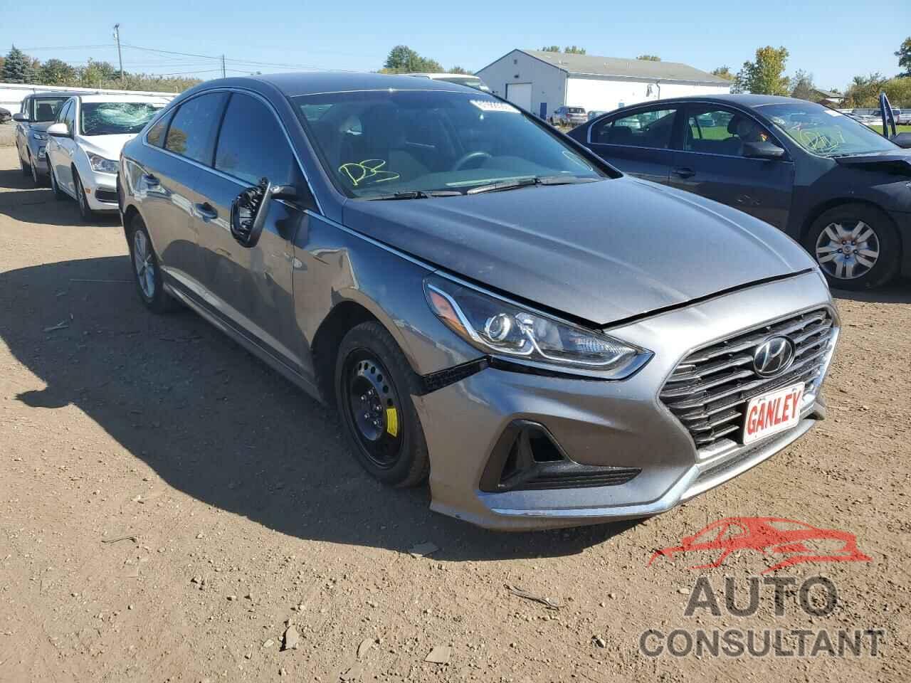 HYUNDAI SONATA 2019 - 5NPE24AF4KH729800