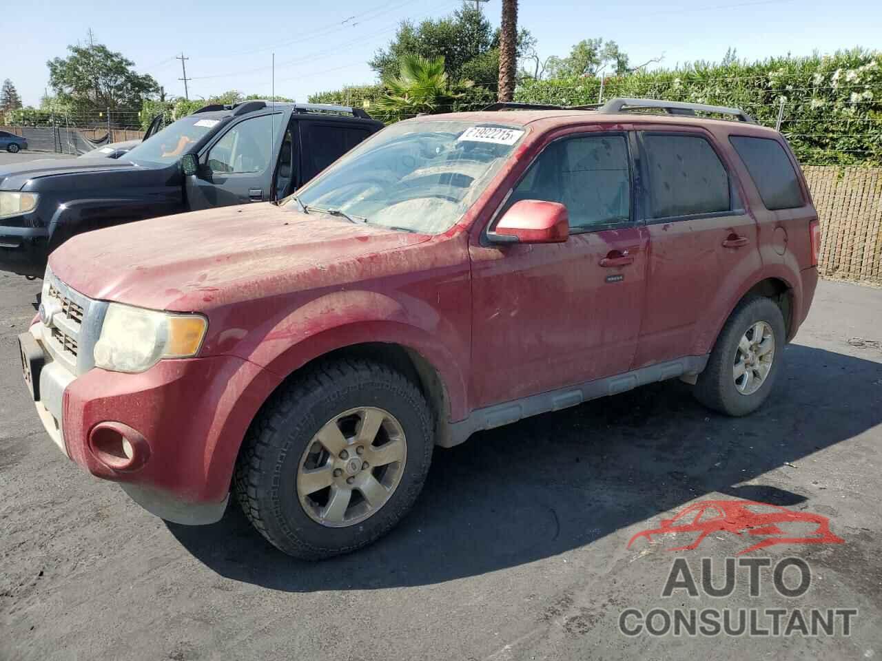 FORD ESCAPE 2011 - 1FMCU9EG1BKB84802