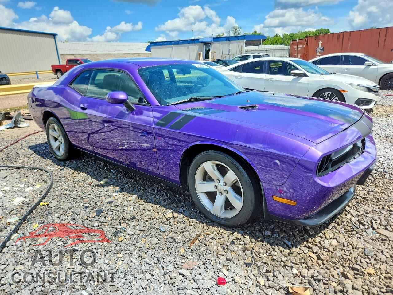 DODGE CHALLENGER 2013 - 2C3CDYAG9DH596355