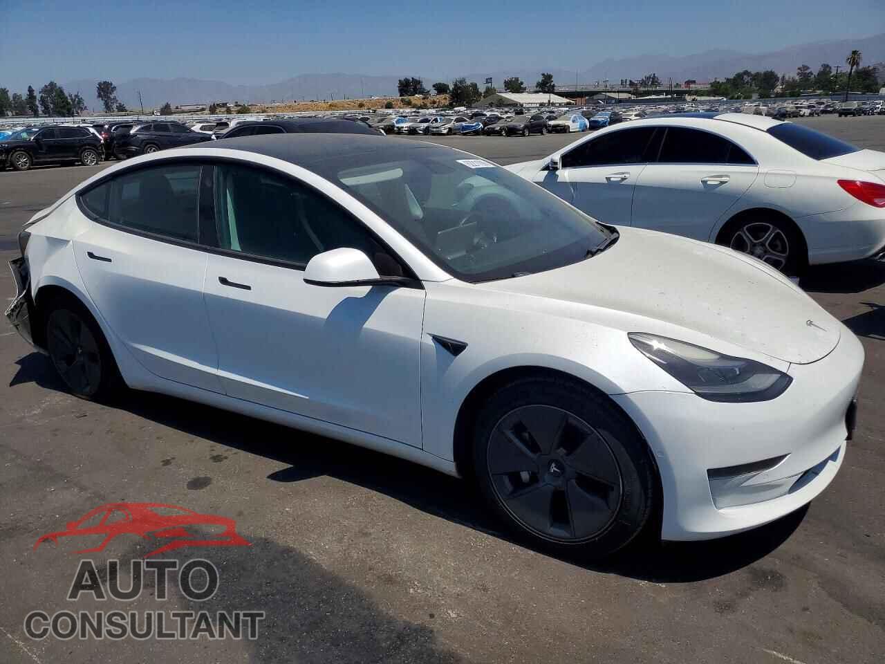 TESLA MODEL 3 2021 - 5YJ3E1EA2MF029027