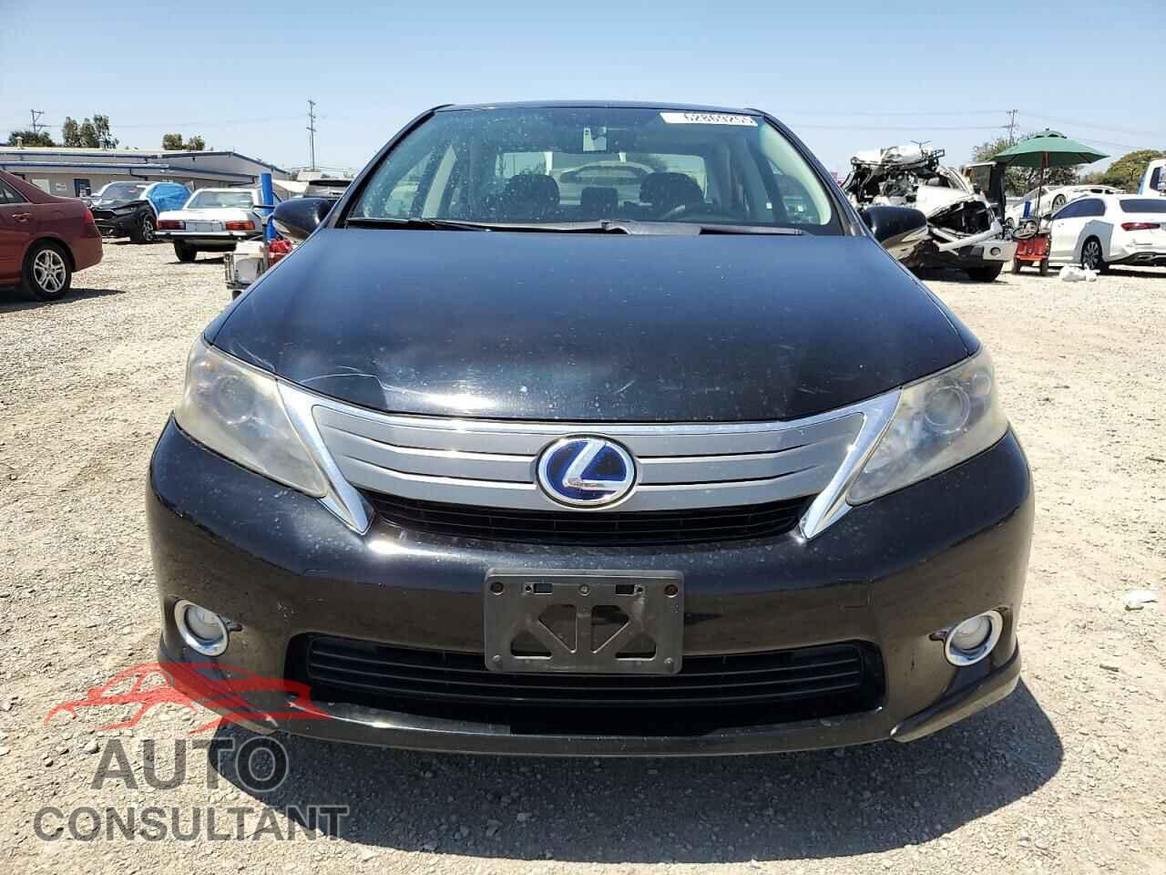 LEXUS HS 2010 - JTHBB1BA0A2008179