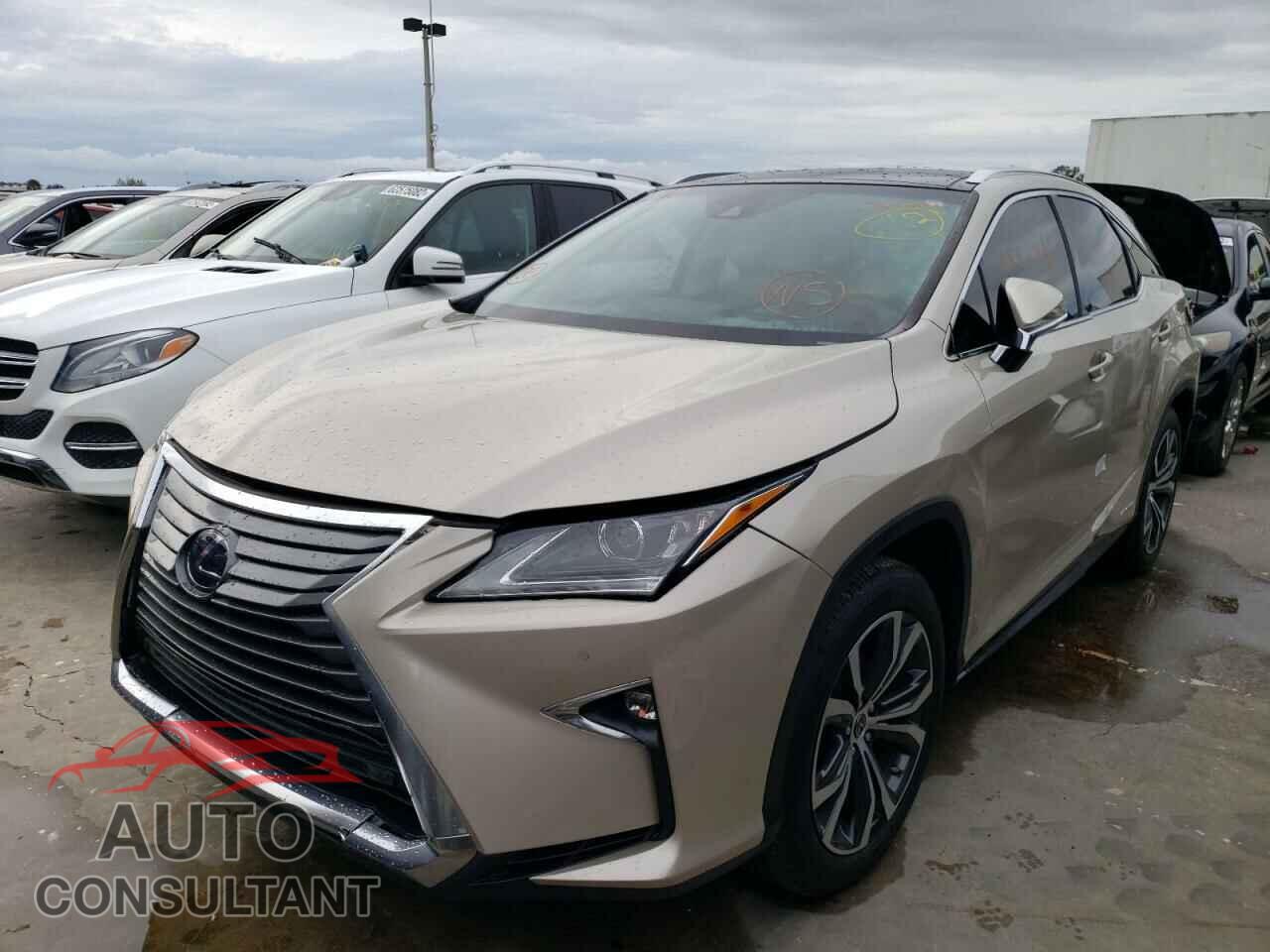 LEXUS RX450 2019 - 2T2BGMCA4KC041901