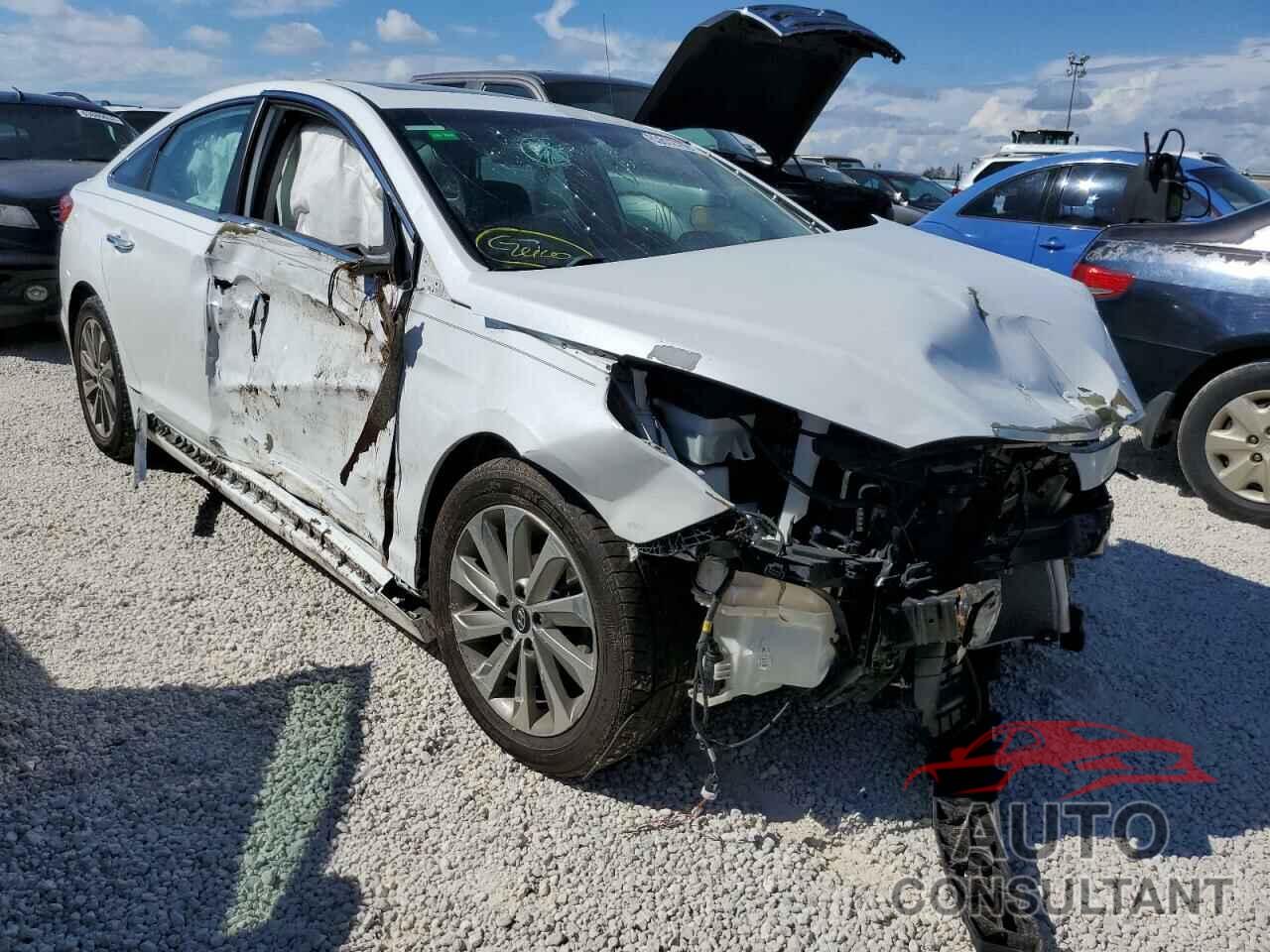 HYUNDAI SONATA 2016 - 5NPE34AF2GH429869