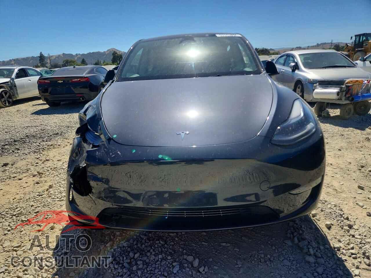 TESLA MODEL Y 2024 - 7SAYGDEE4RF013782