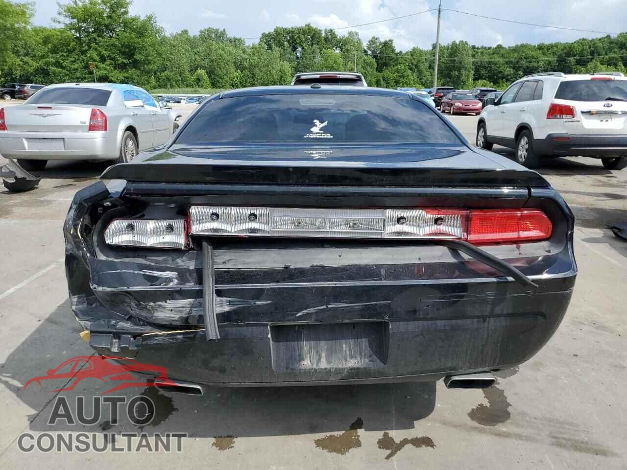 DODGE CHALLENGER 2013 - 2C3CDYBT3DH574055