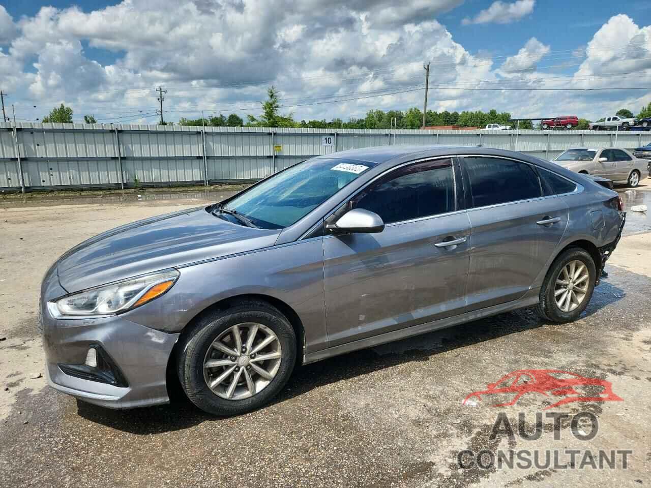 HYUNDAI SONATA 2019 - 5NPE24AF1KH780073