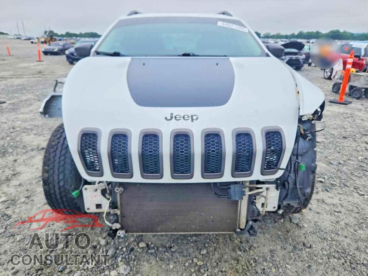 JEEP CHEROKEE 2017 - 1C4PJMBS0HW600219