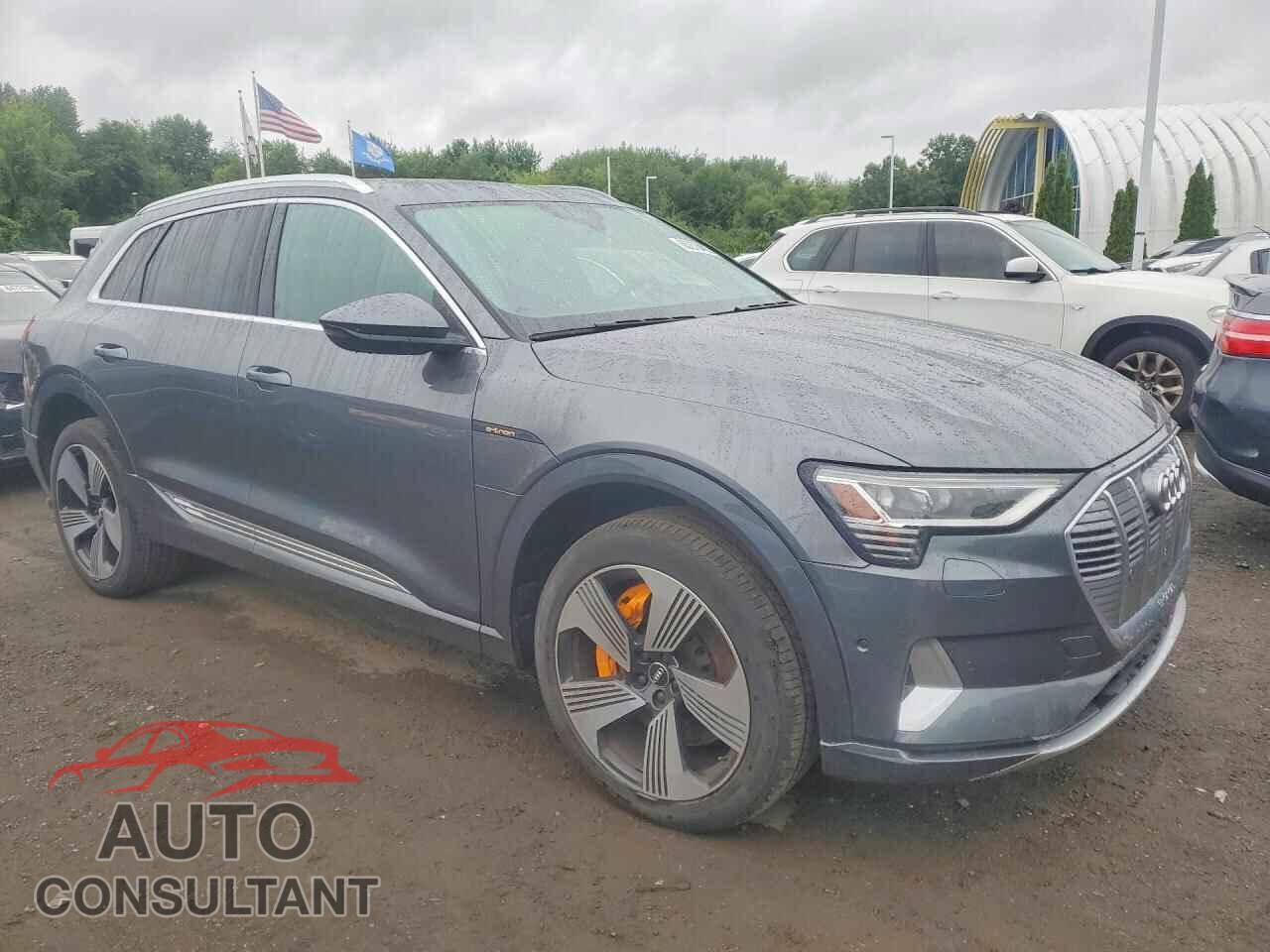 AUDI E-TRON 2019 - WA1VAAGE3KB006760