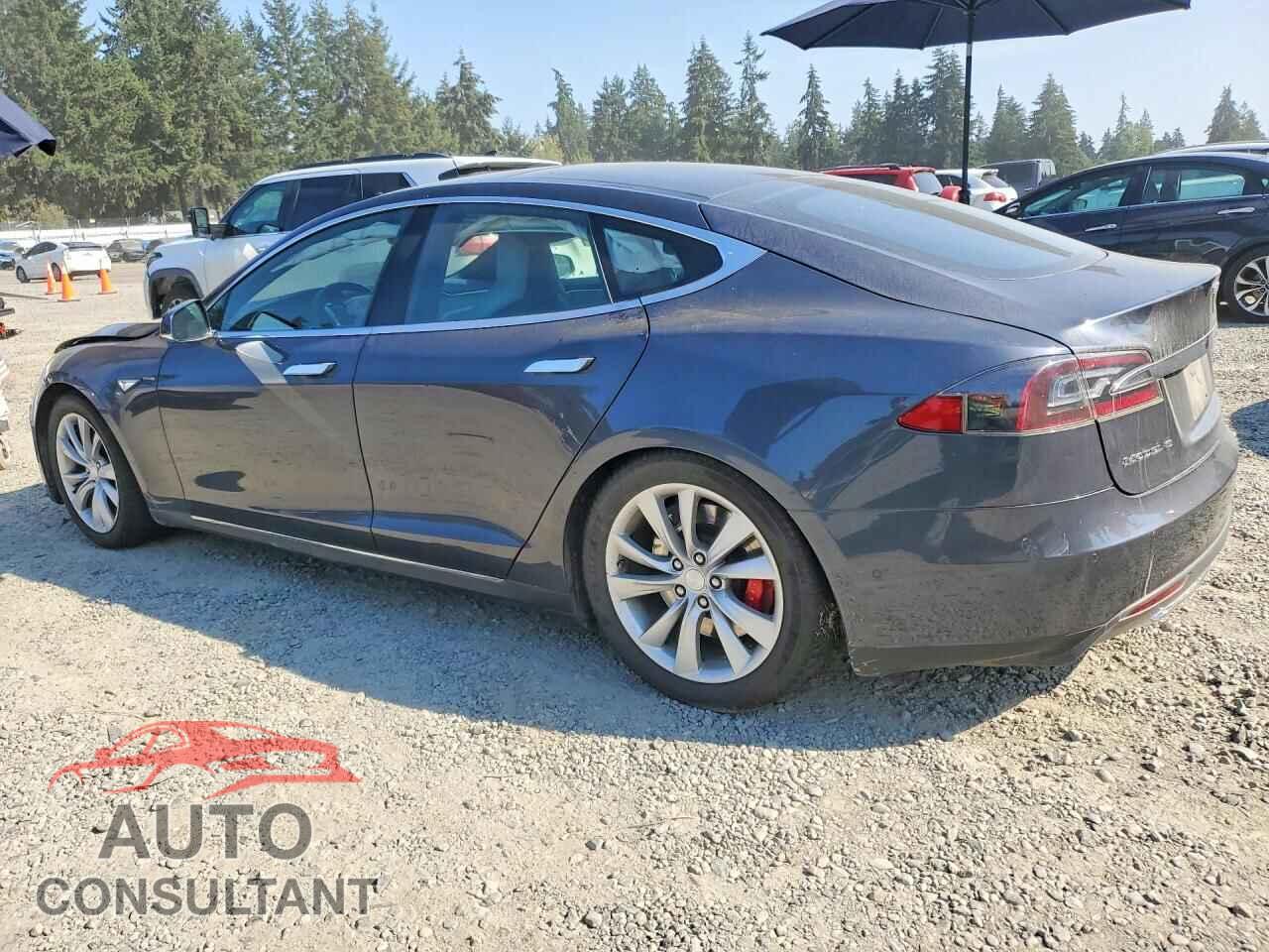 TESLA MODEL S 2015 - 5YJSA4H44FF081289