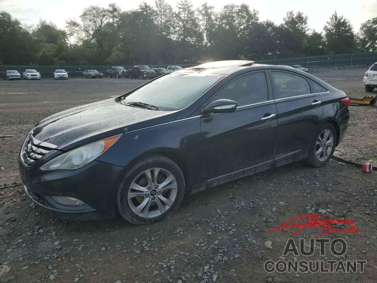 HYUNDAI SONATA 2011 - 5NPEC4AC8BH139229