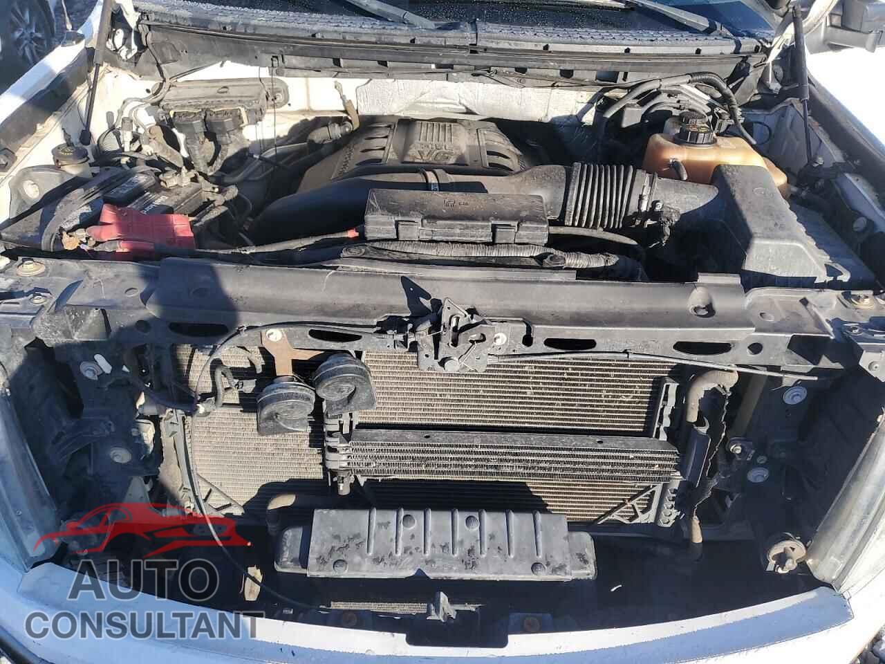 FORD F-150 2011 - 1FTFW1ET6BFC33687