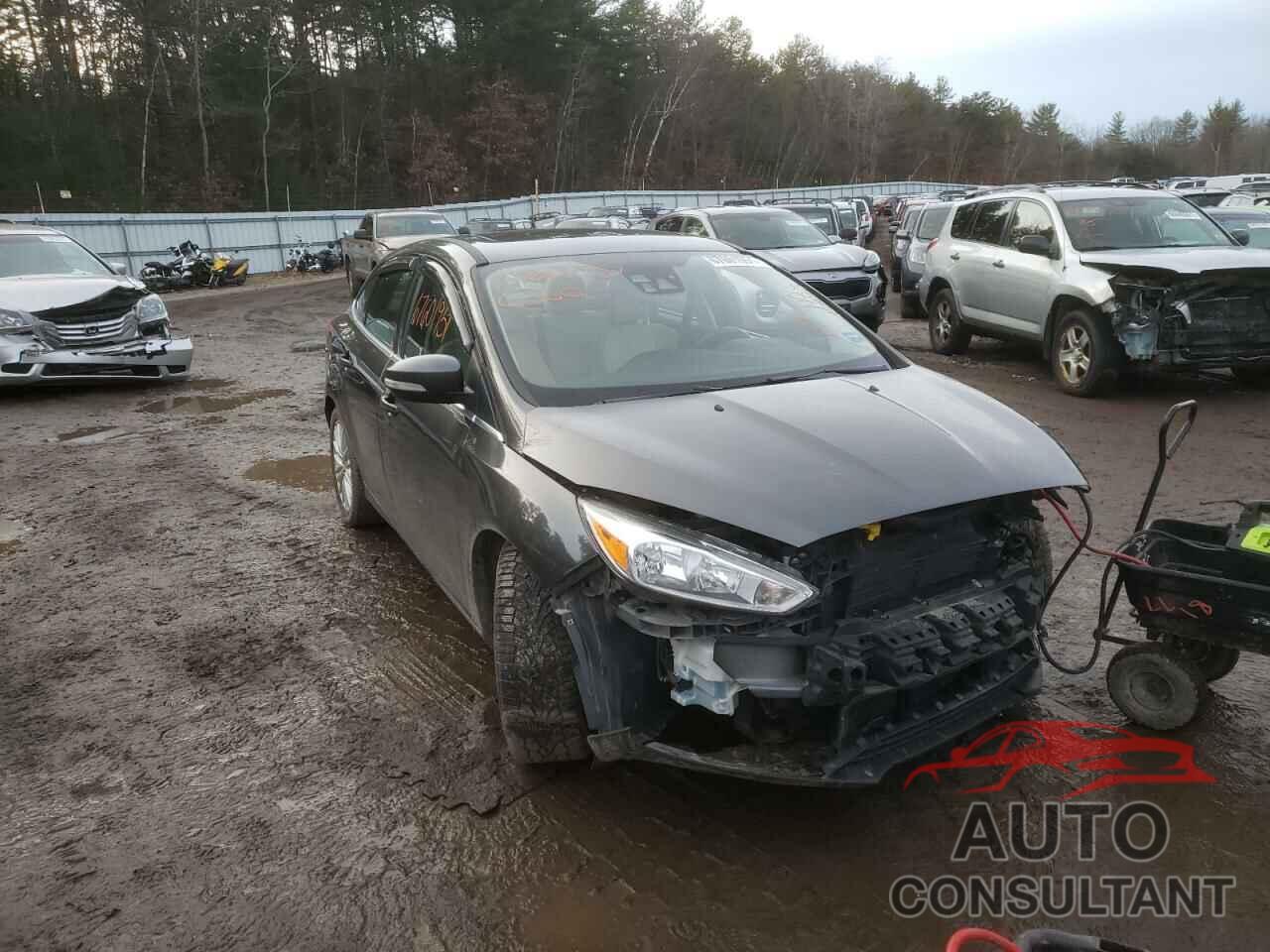 FORD FOCUS 2017 - 1FADP3J24HL236388