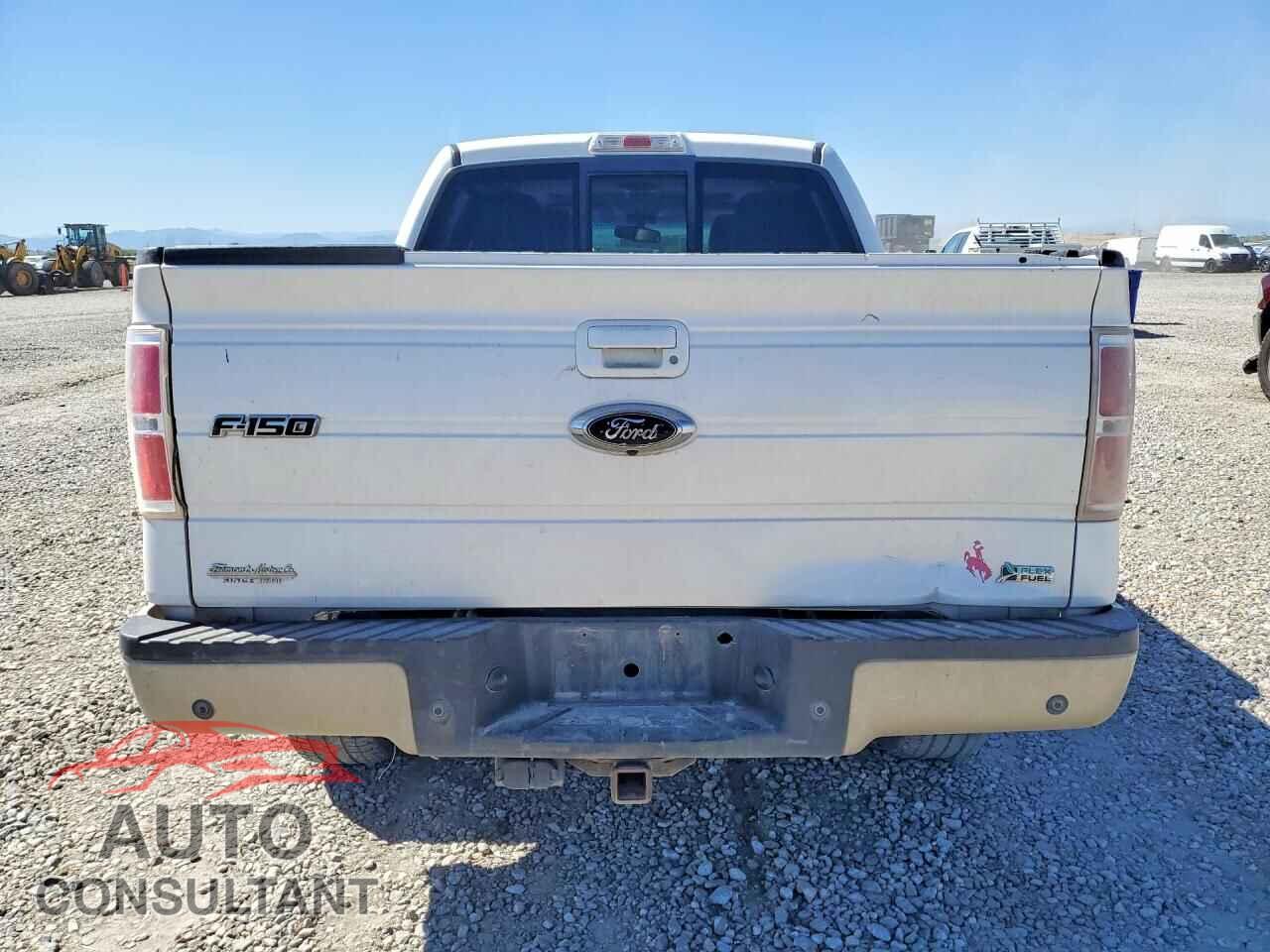 FORD F150 2010 - 1FTFW1EV2AFA52182