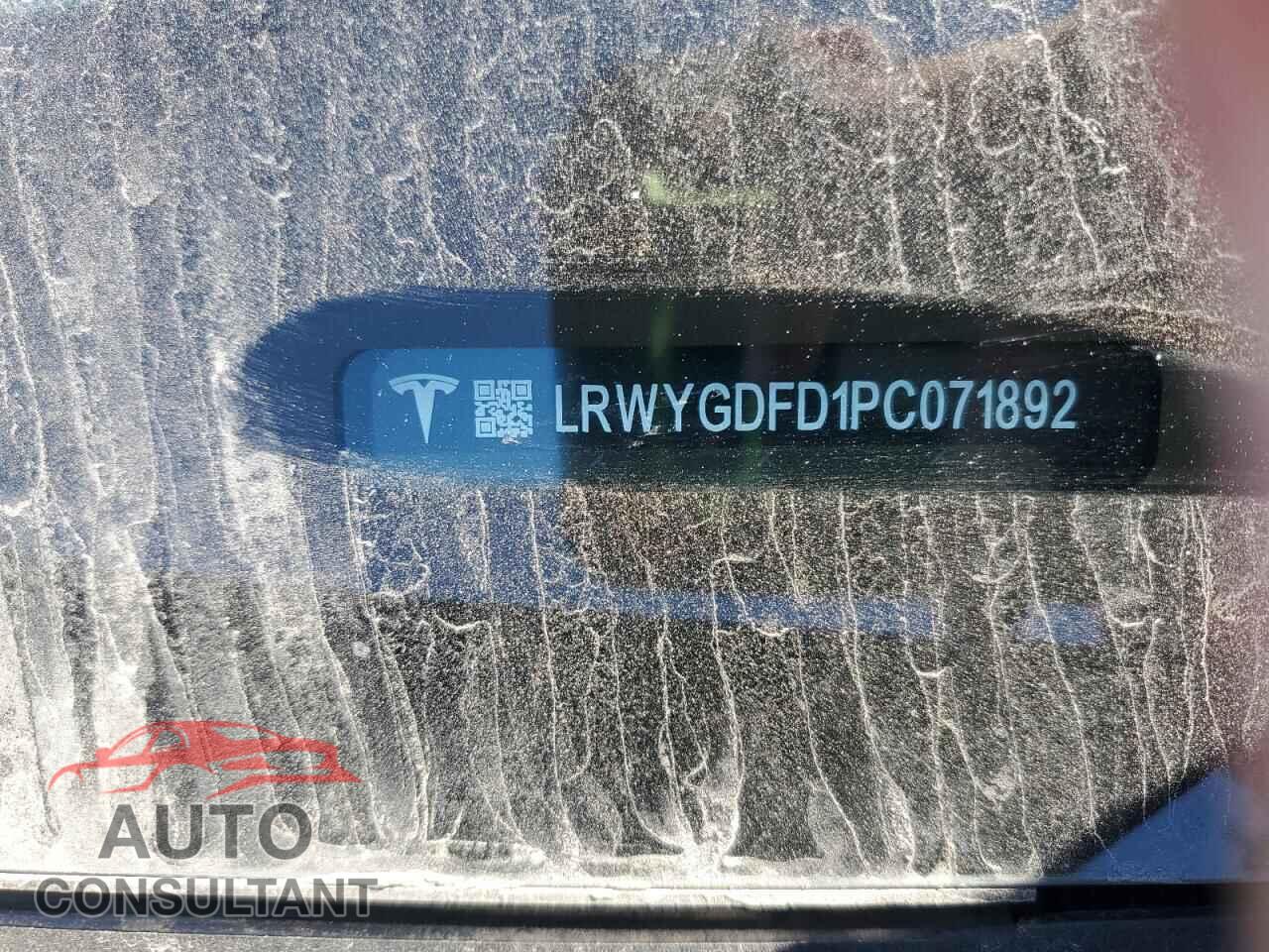 TESLA MODEL Y 2023 - LRWYGDFD1PC071892