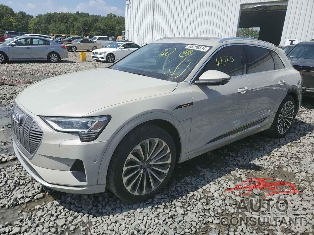 AUDI E-TRON 2019 - WA1VAAGE8KB015048