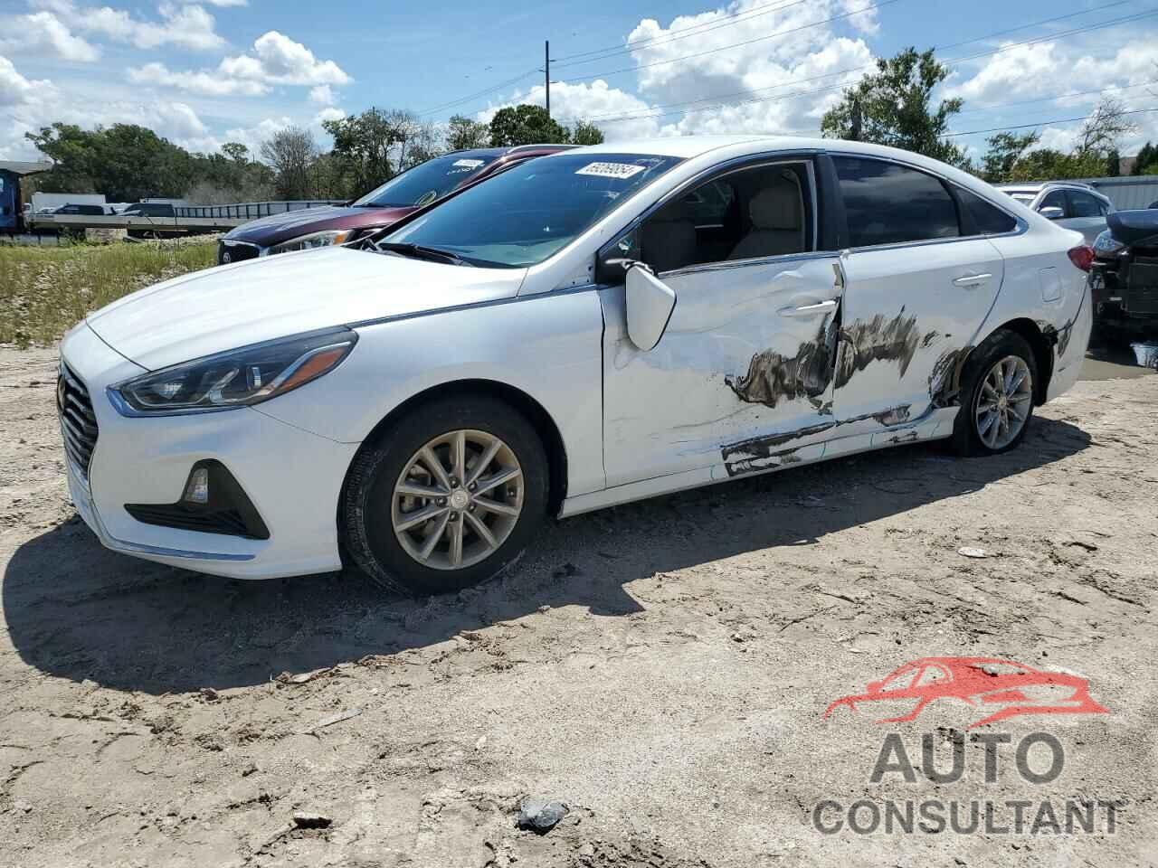 HYUNDAI SONATA 2019 - 5NPE24AF3KH806883