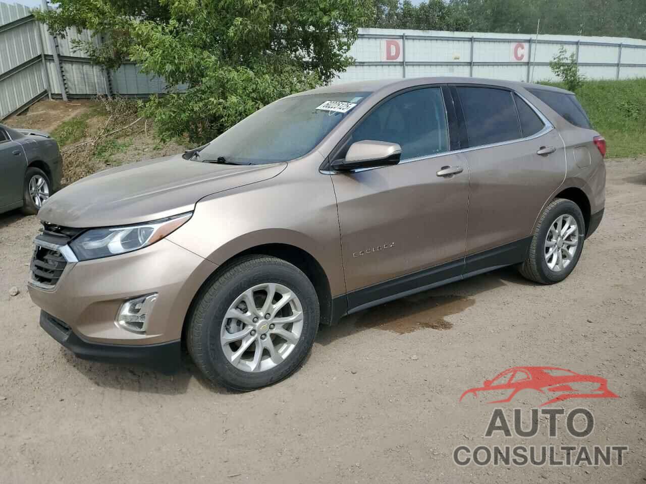 CHEVROLET EQUINOX 2019 - 2GNAXJEV3K6224648