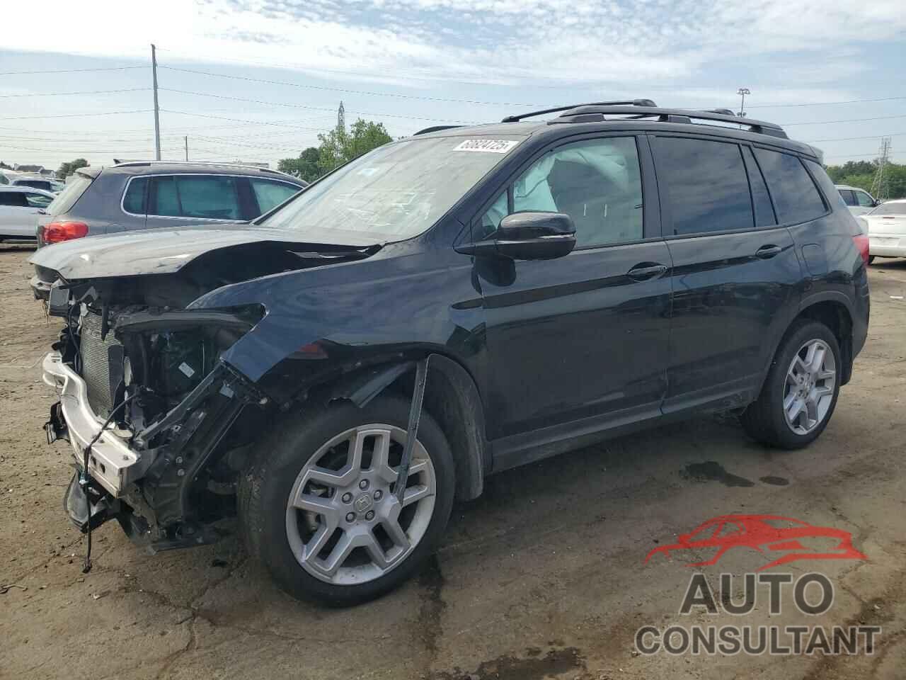 HONDA PASSPORT 2024 - 5FNYF8H51RB023902