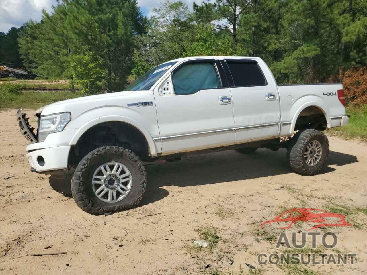 FORD F150 2009 - 1FTPW14V29FA73454